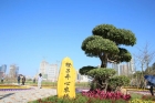 限額認(rèn)種開始啦~先到先得！