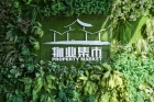 線上線下“花”式助農(nóng)！橫琴人買年花看這里！