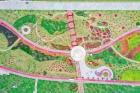 春節(jié)必去！8000m2勒杜鵑園、17000m2油菜花田……就在橫琴！