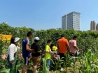 沉浸式體驗(yàn)！澳門婦聯(lián)組織琴澳小朋友走進(jìn)這個(gè)農(nóng)場(chǎng)→