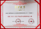 連獲三獎！大橫琴城資助力城市“慧”治理